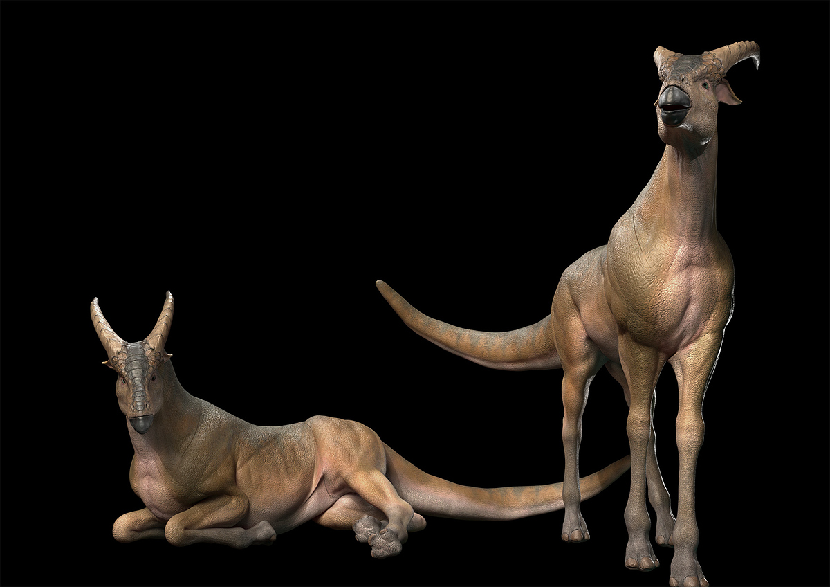 herbivorous_pubulicimage0001