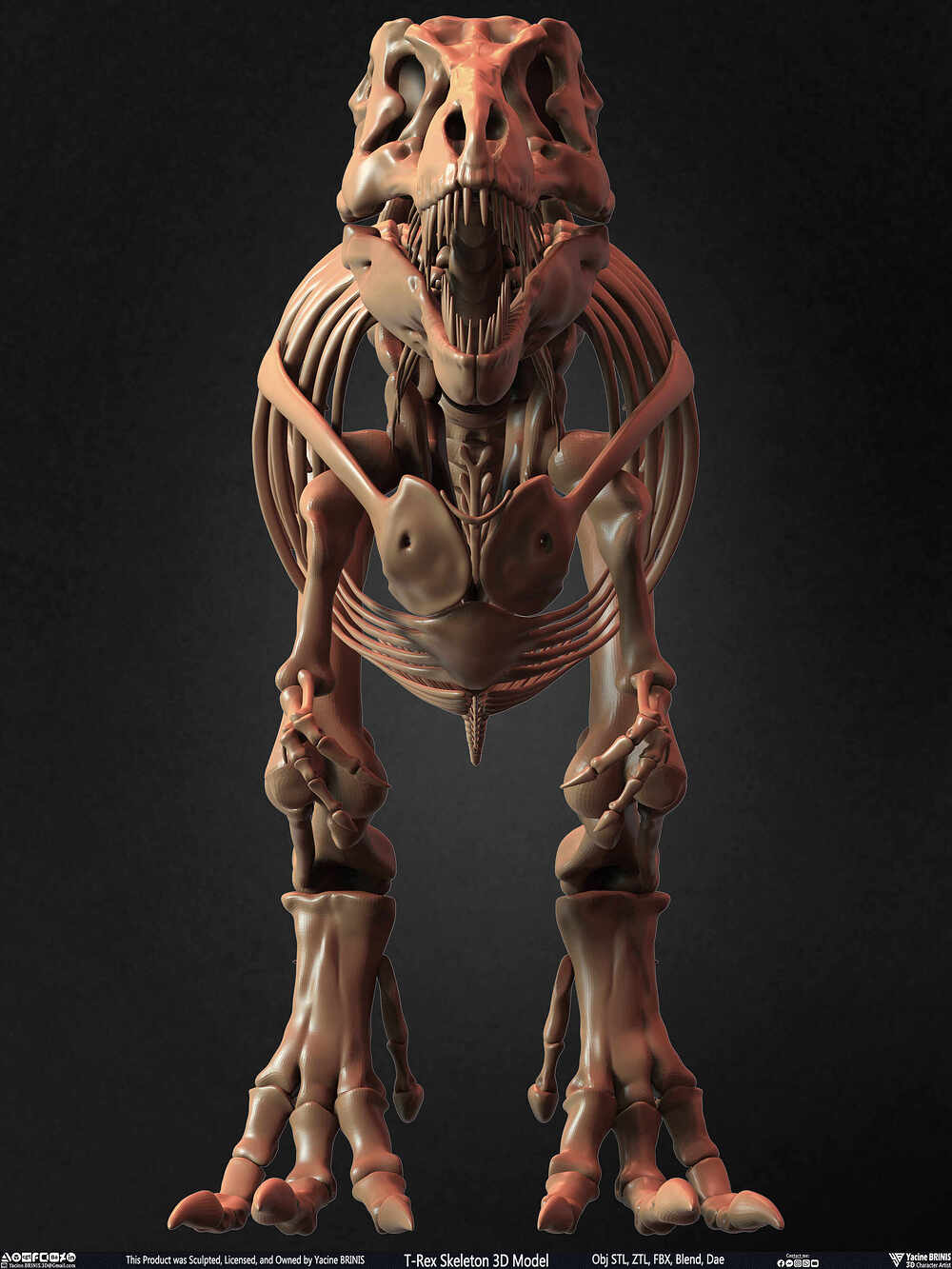 T-Rex Skeleton 3D Model (Tyrannosaurus Rex) Sculpted By Yacine BRINIS Set 022