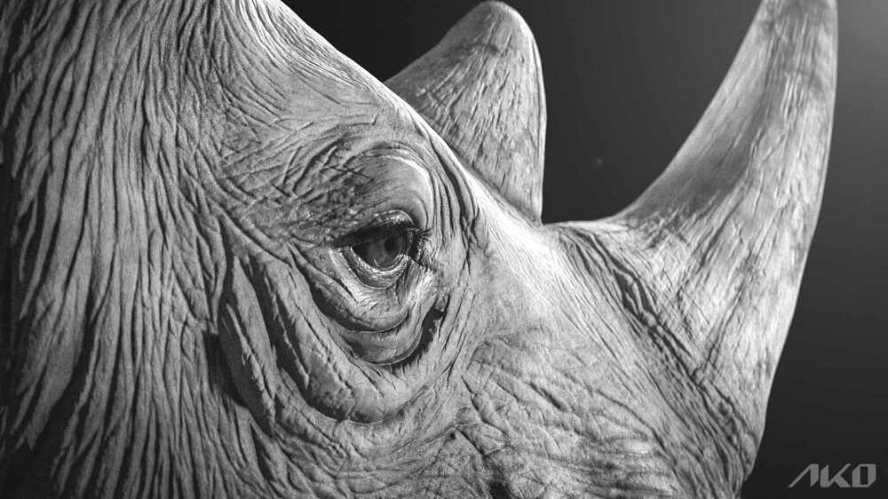 6.Rhino_Shot_02_B&W_fn_v001