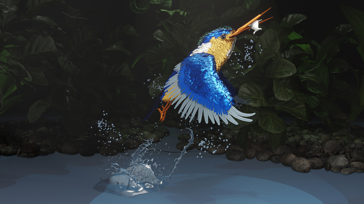 kingfisher4