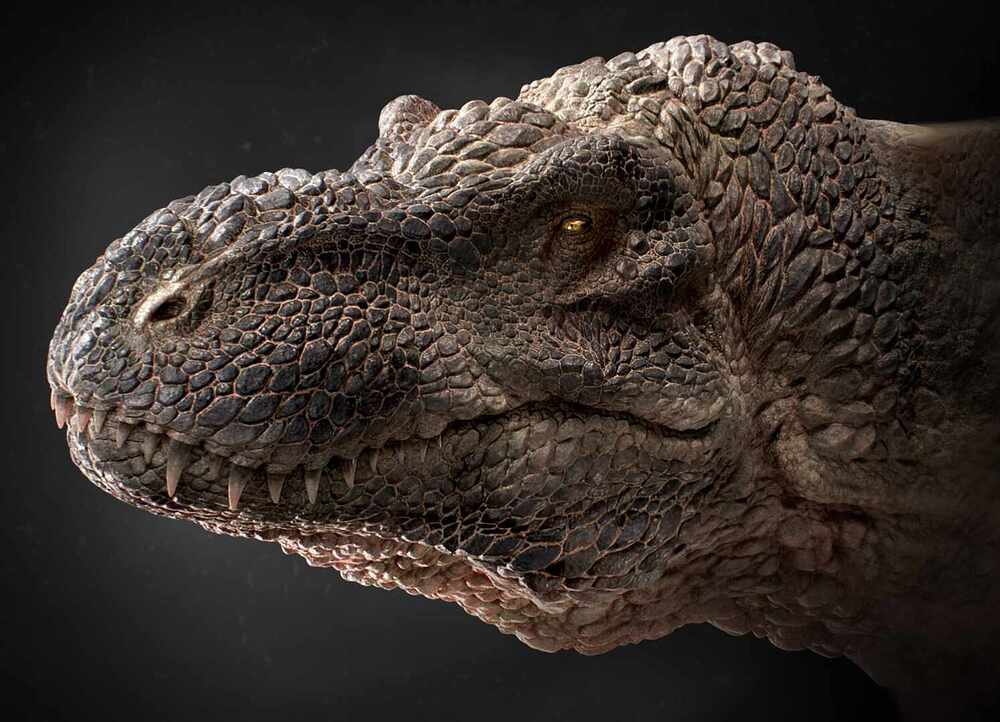 TyranodilusPorosus_Render_v0007