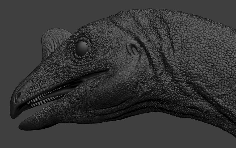 Venetoraptor-gassenae09