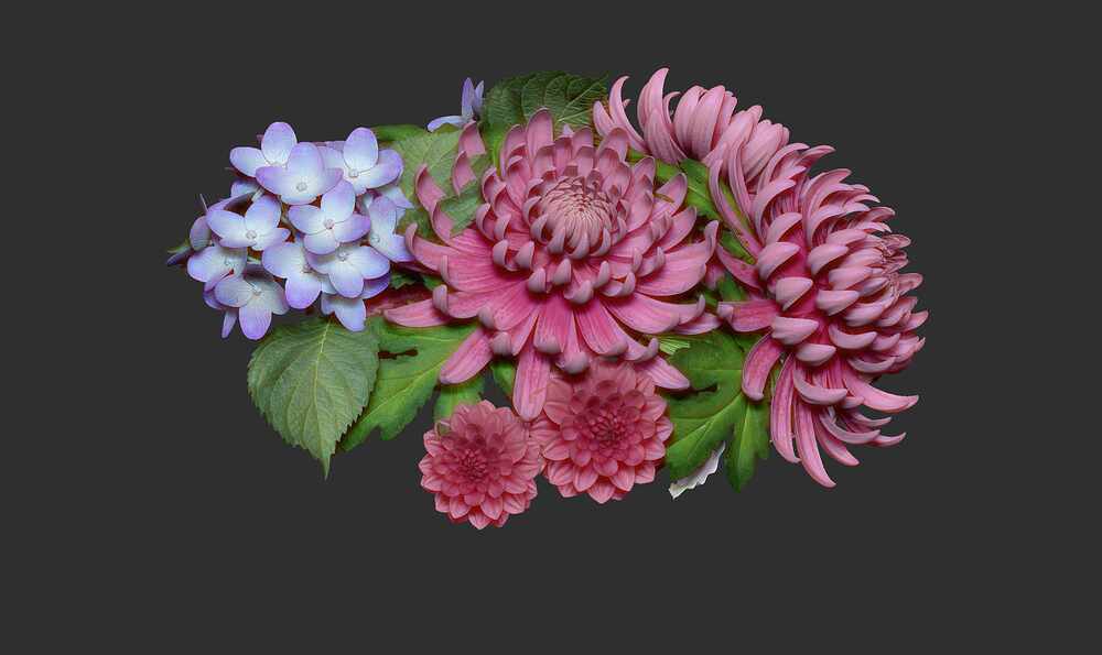 PortraitwithFlowers_AnnaSchmelzer_ZBrush11