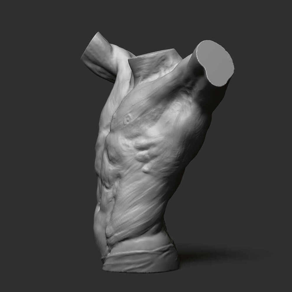 Male_Torso_1080x1080_views_4