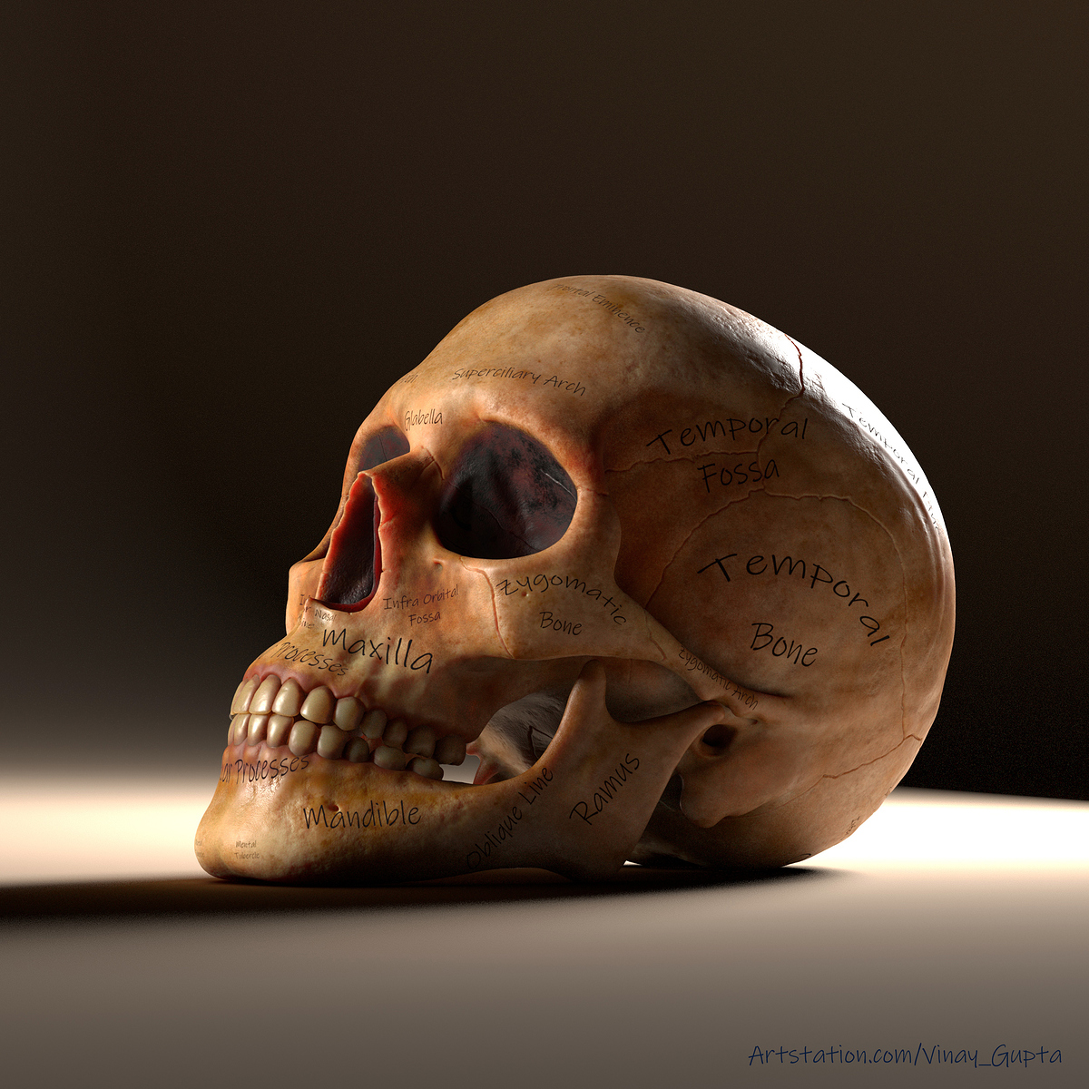 Vinay_Gupta (4)