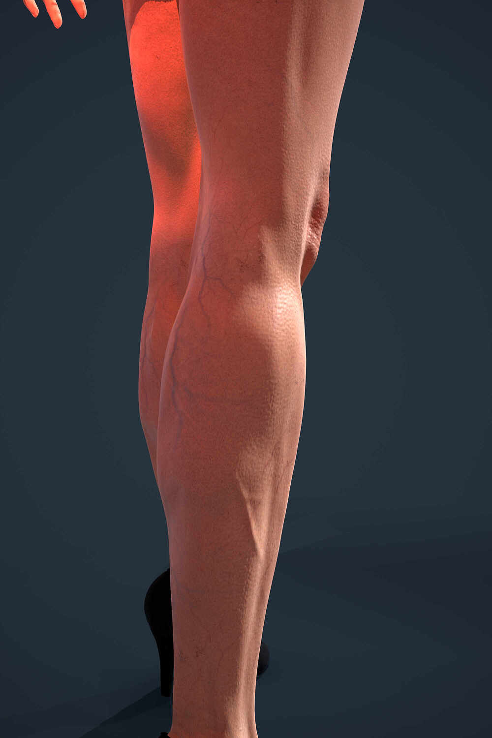 Marmoset toolbag_Testing_by Darya Girina_10