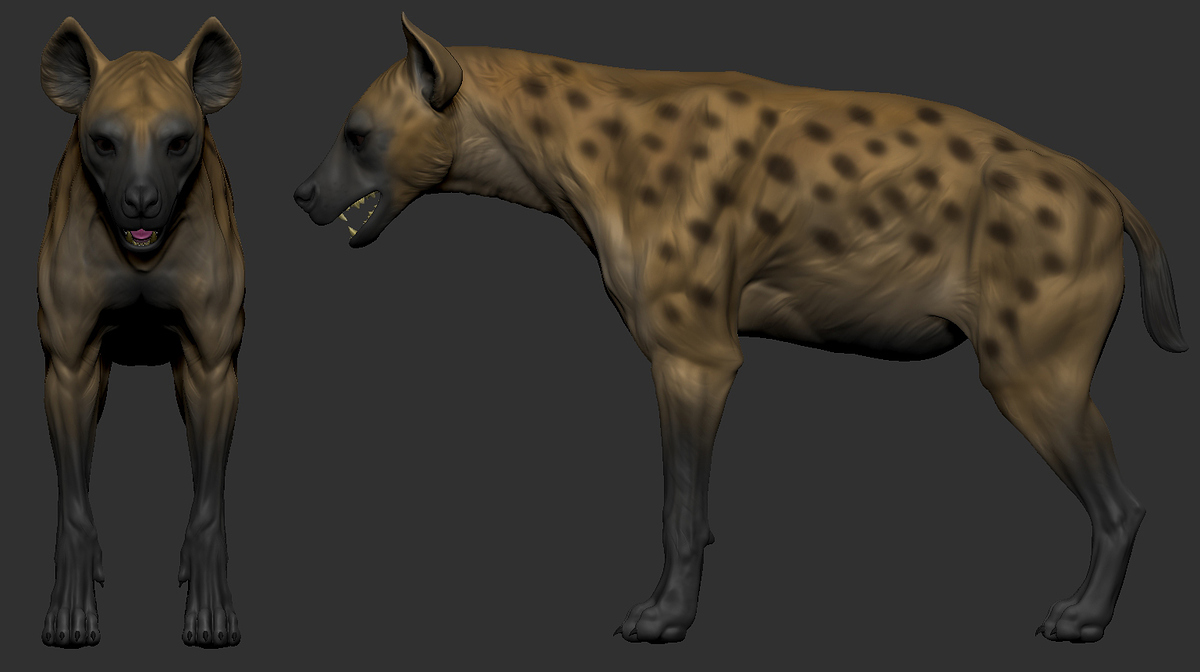 Hyena_03
