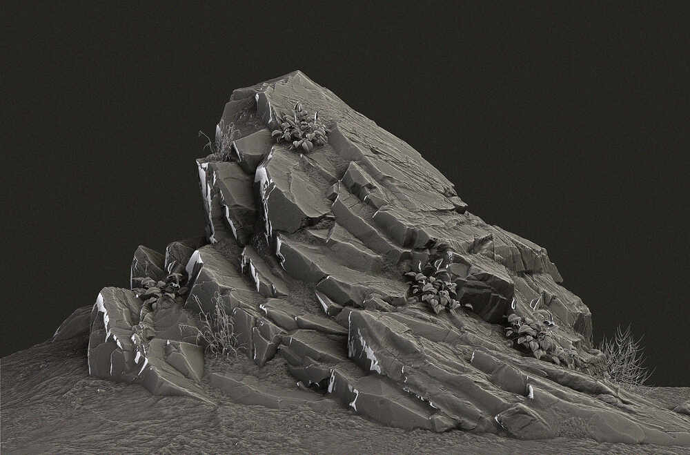 Y11