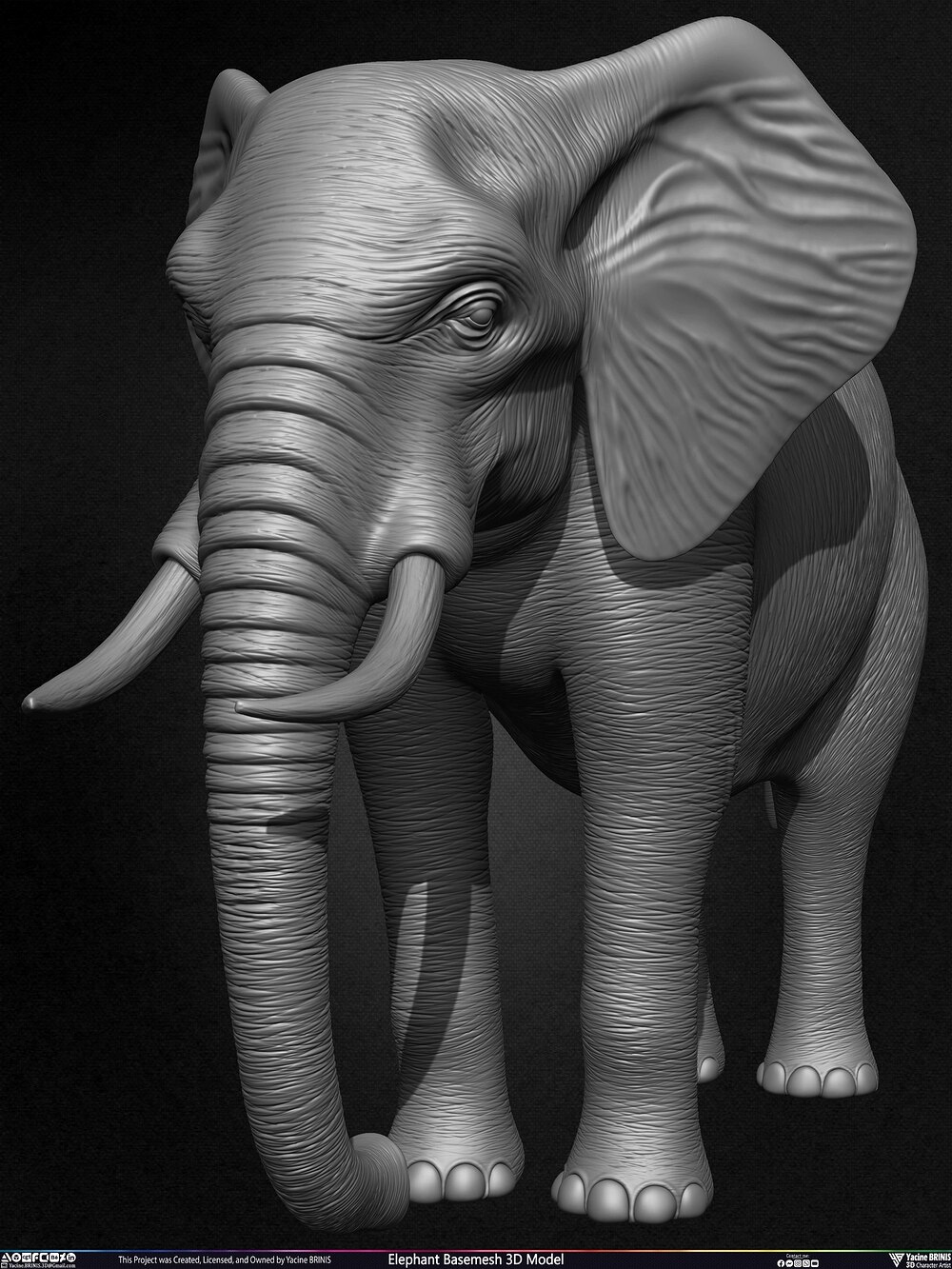 Elephant Basemesh 3D Model Animal Sculpted by Yacine BRINIS Set 012