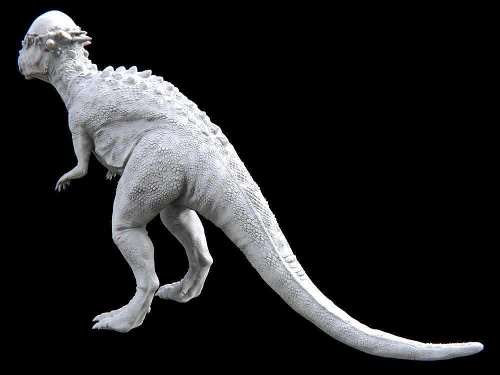pachychephalosaurus_APose.12