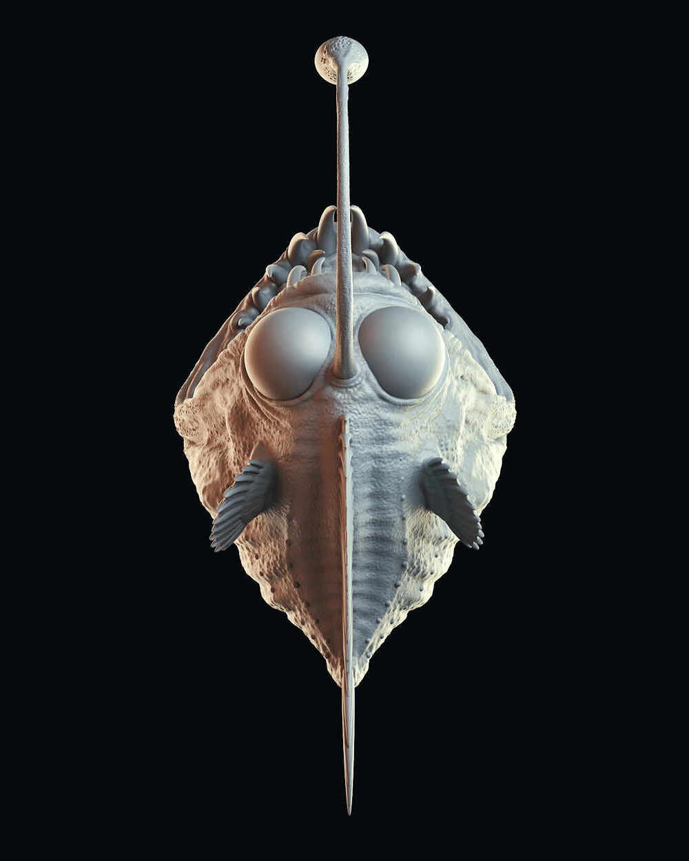 angler4
