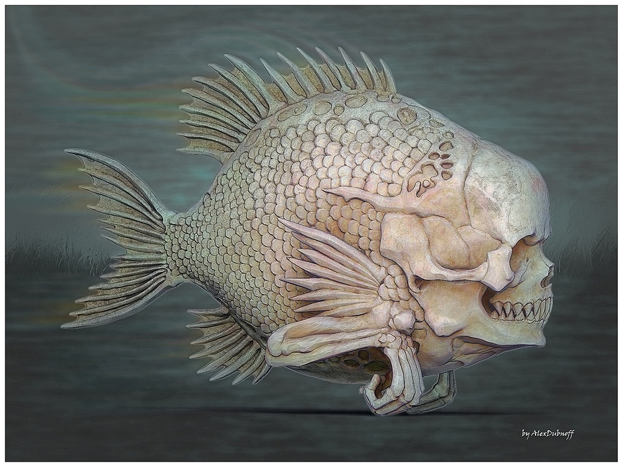 fishhead2