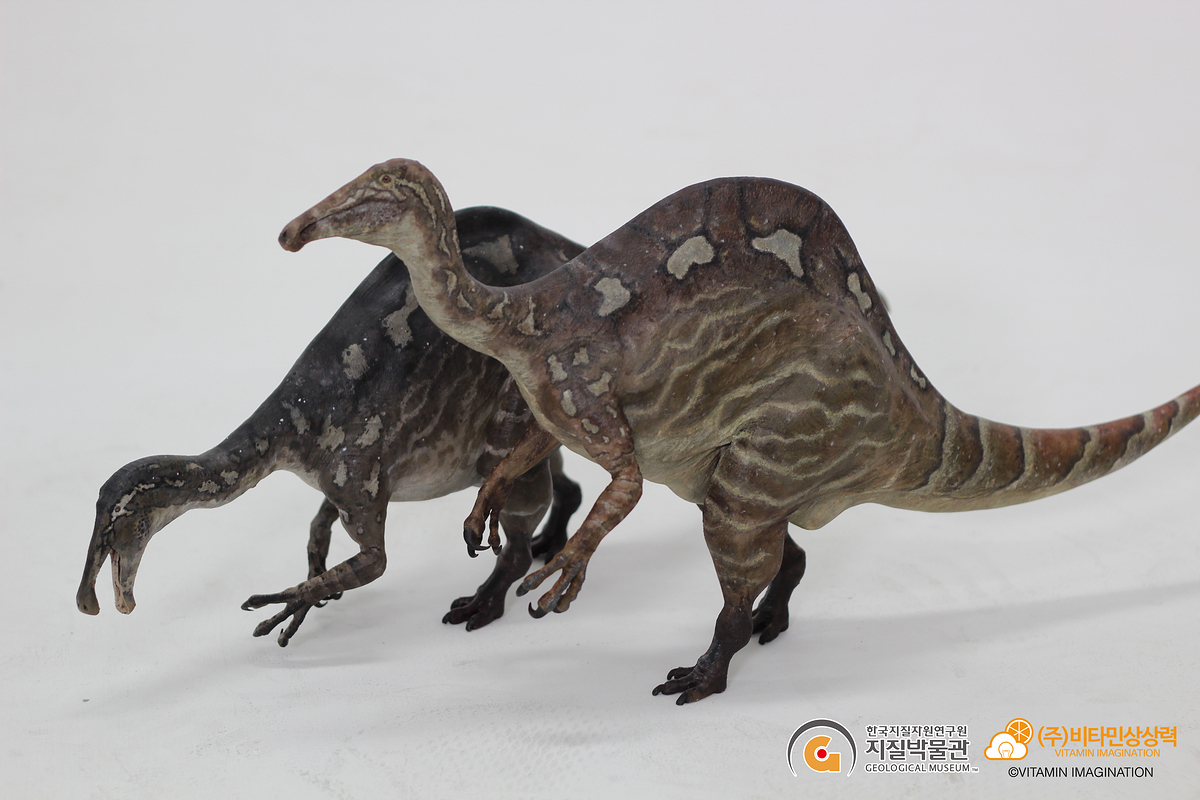 KakaoTalk_20191126_184318920