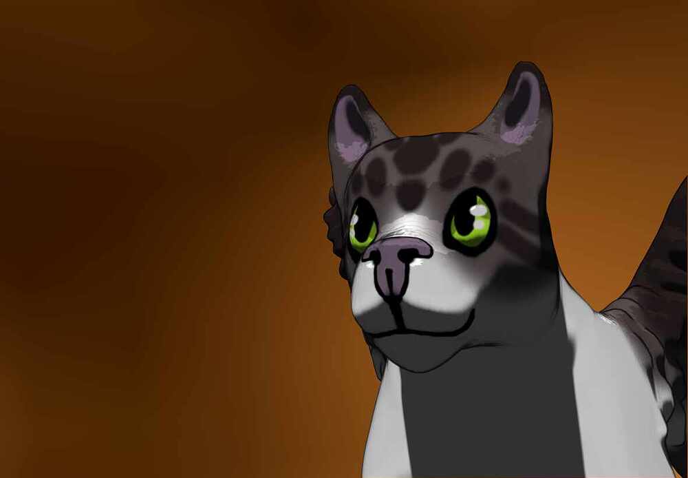 Winged Cat face