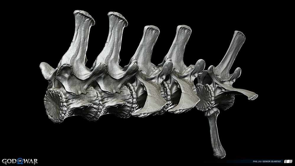 Bone7_spine1 copy 2