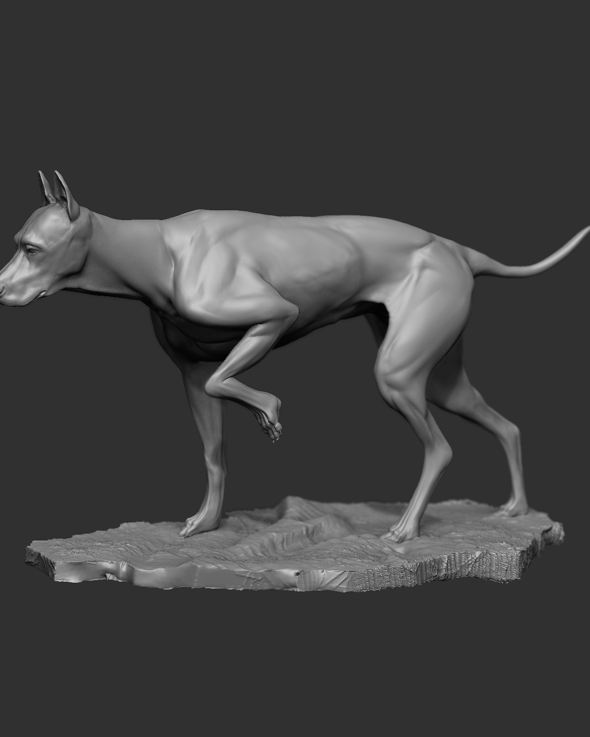 Dog_3.jpg