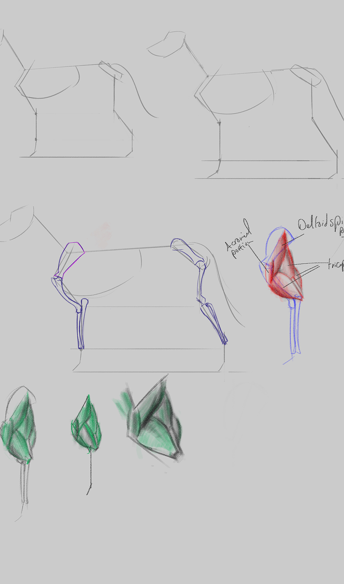Dog_Sketch_2_Reduced.jpg