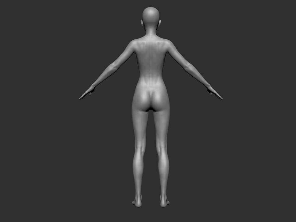 BodyBack