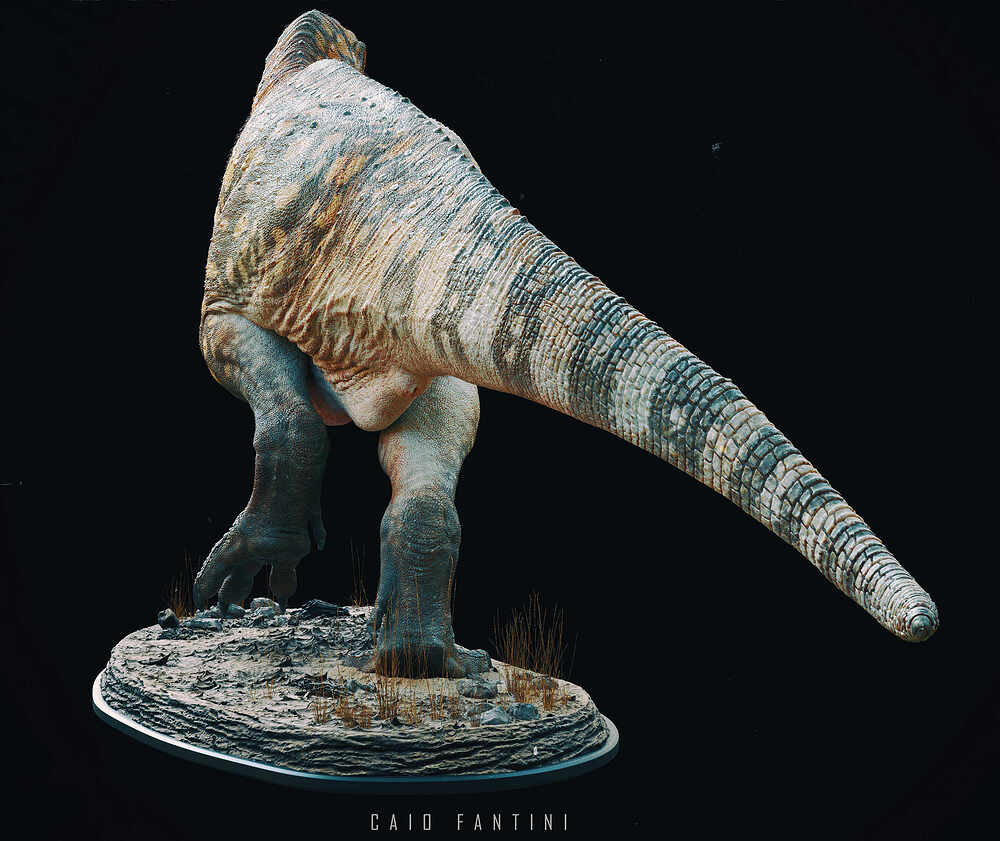 Mapusaurus_04
