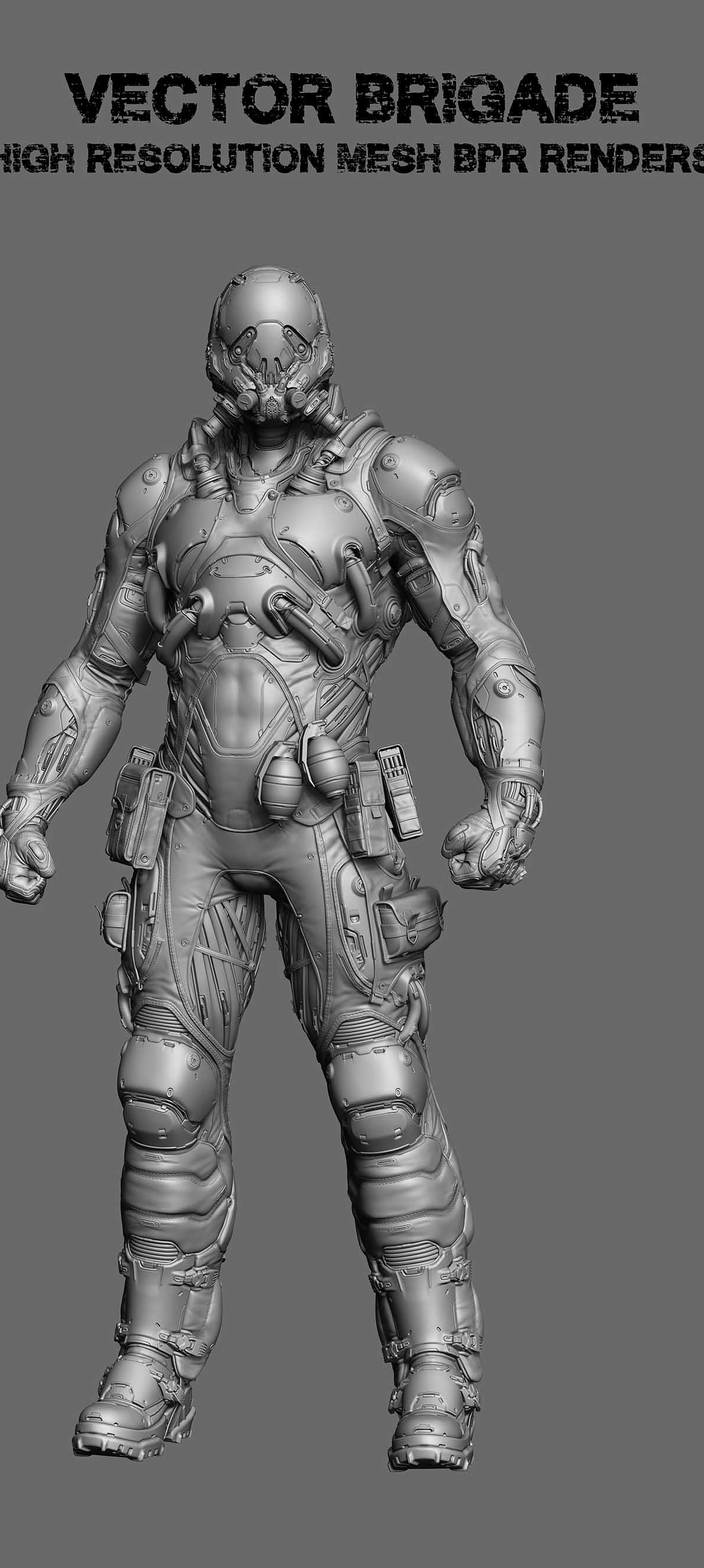 vector_highres_mesh_grey.jpg