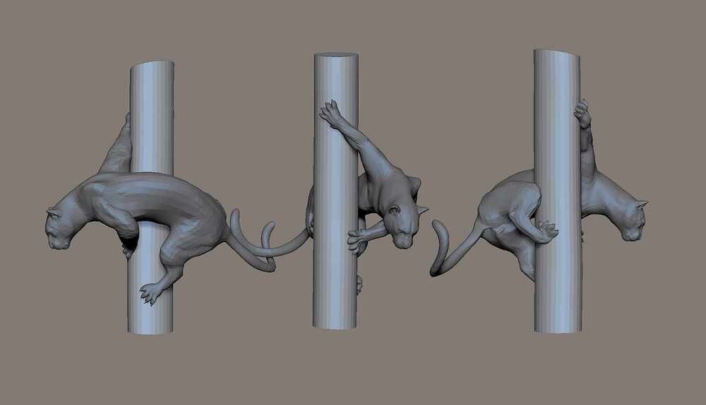 Pose_study_C