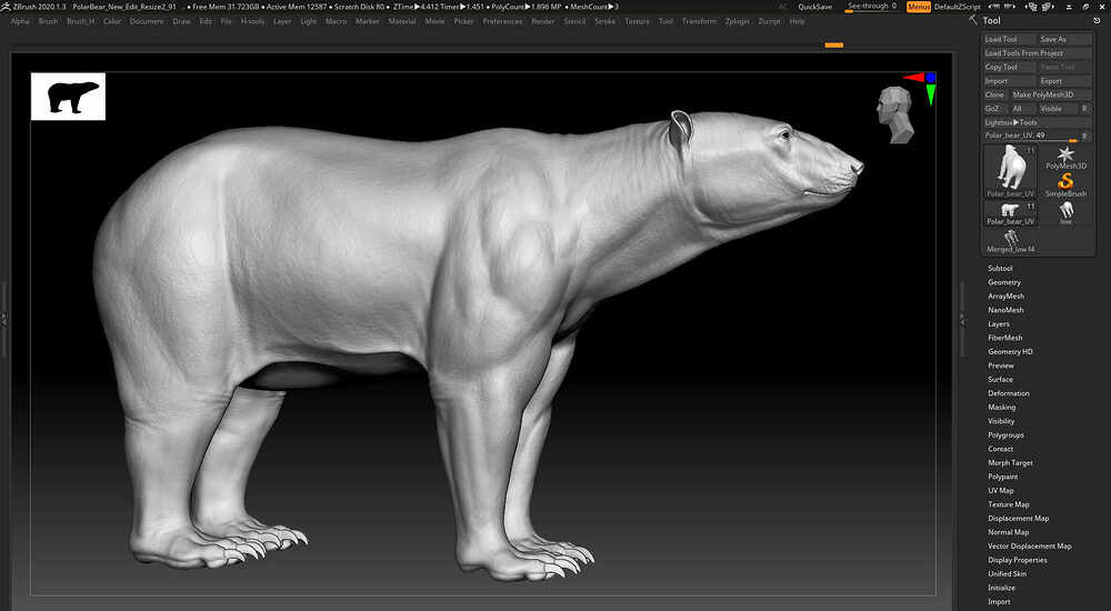 Polar Bear _Zbrush02-www.h-mortazavi.com