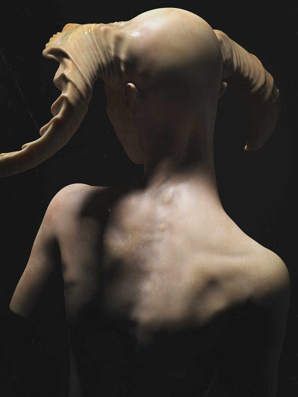 faun2_2by_eriknardai