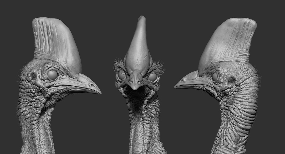 Cassowary_ZBrush_Sculpt