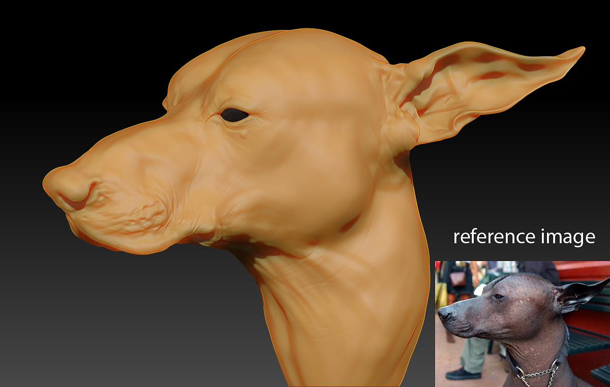 ZBrush Document15 copy copy.JPG