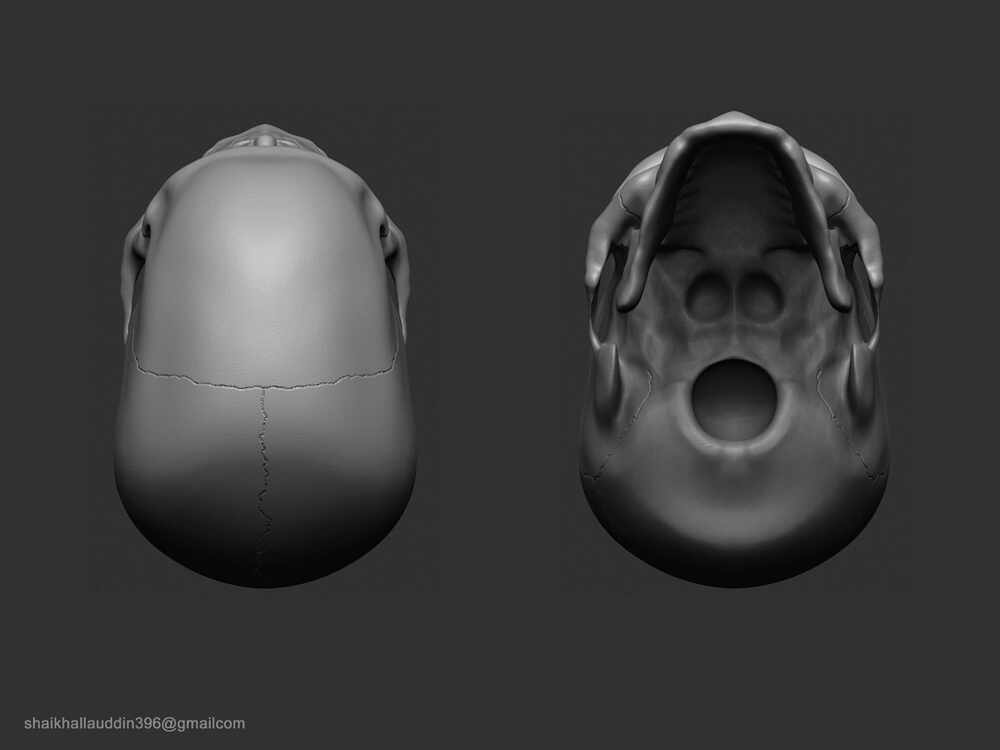 Skull_02