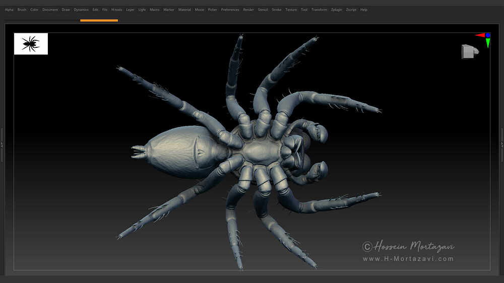 Jumping_Spider_WIP_02