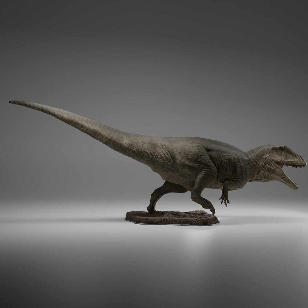 siderender