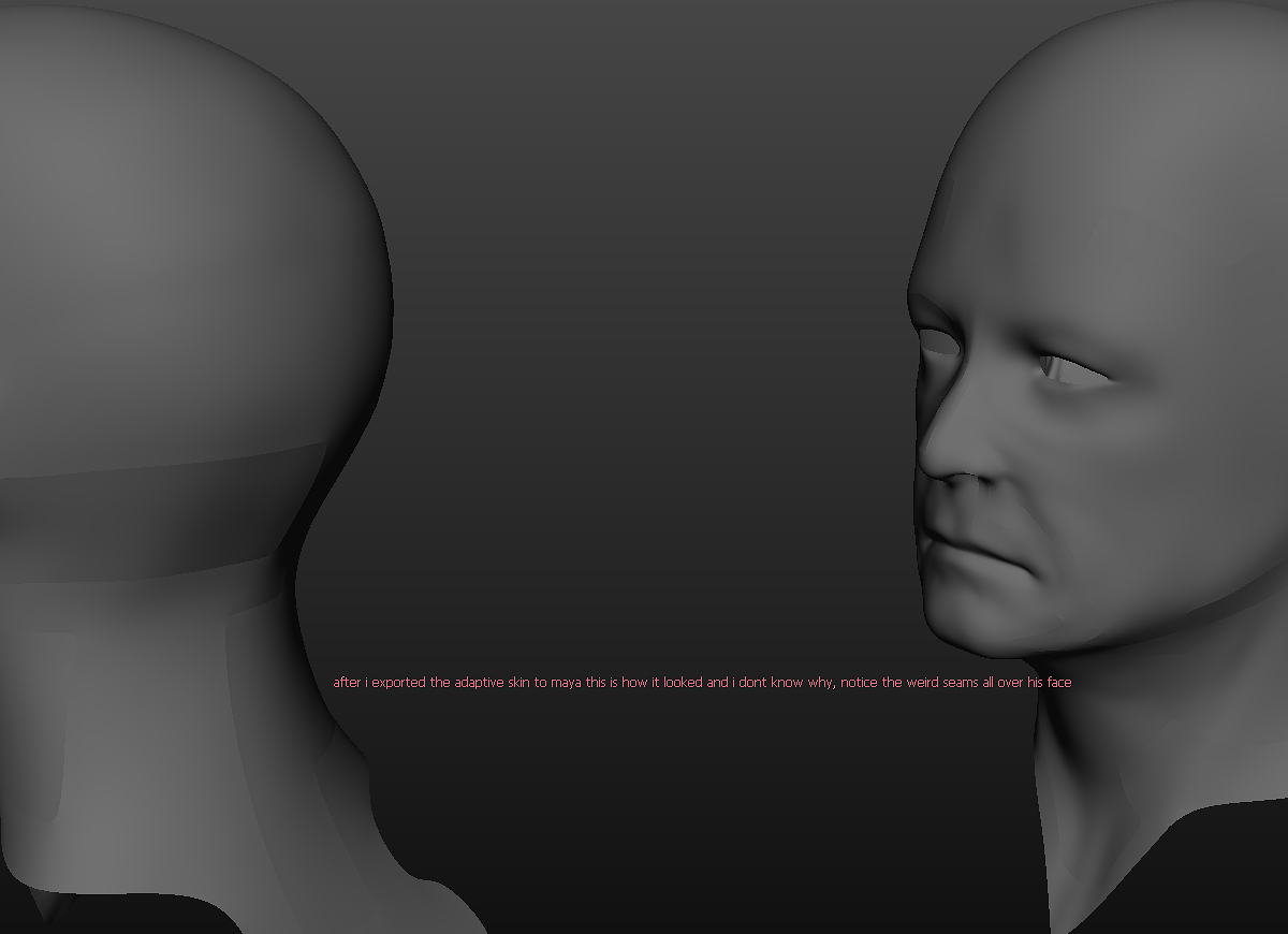 2_maya export.jpg