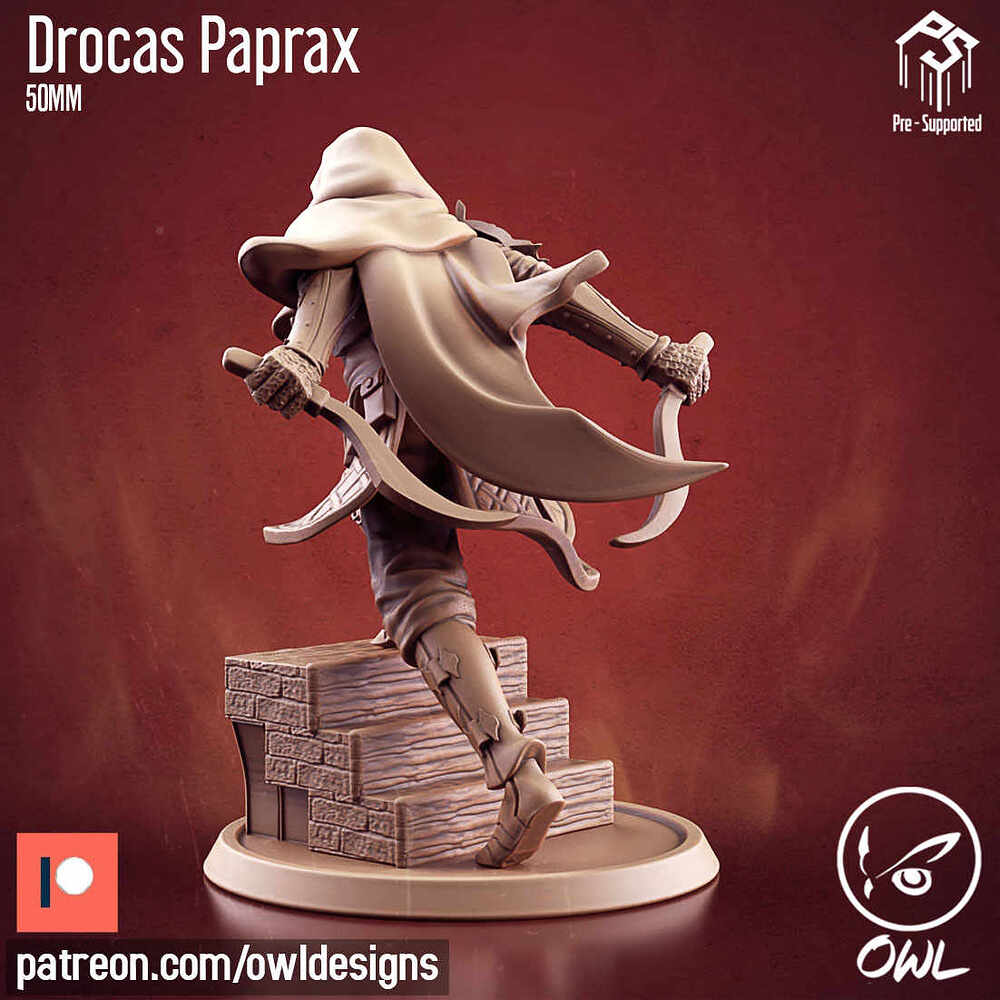Owl_Drocas_Paprax_50mm_02