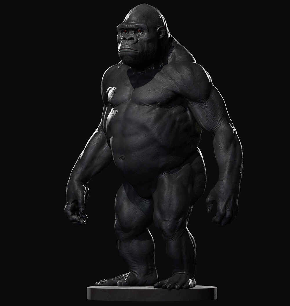 Ape Anatomy Practise 02