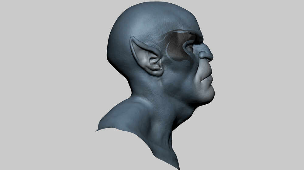 p_head03