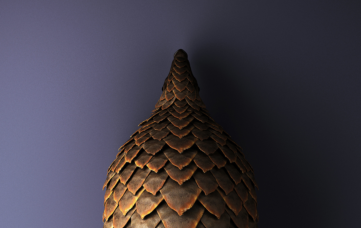 11_HD_2