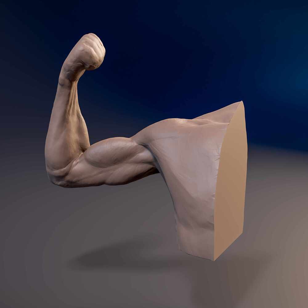 Arm_supin_03