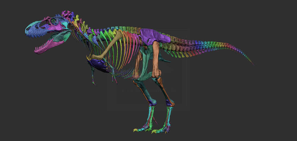 BPR_Composite7