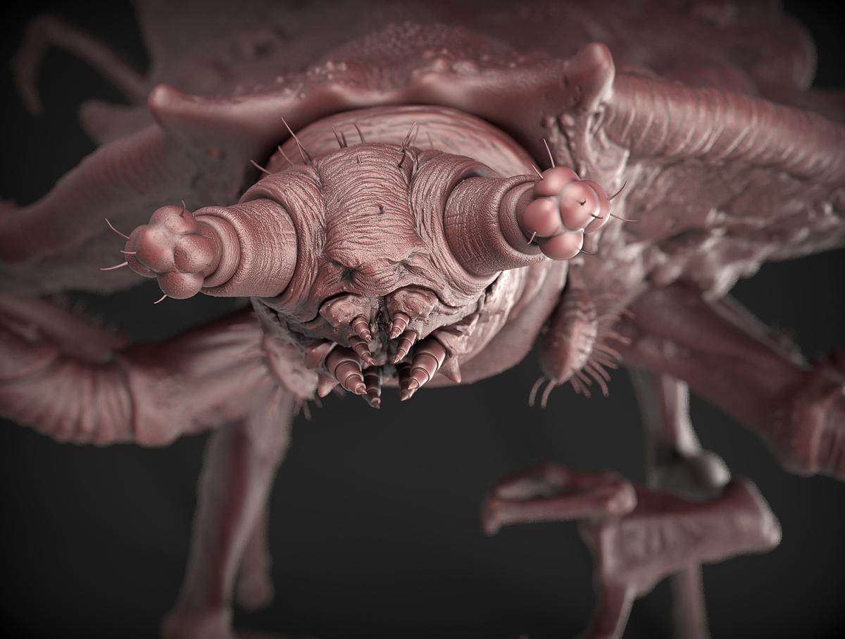creature_06