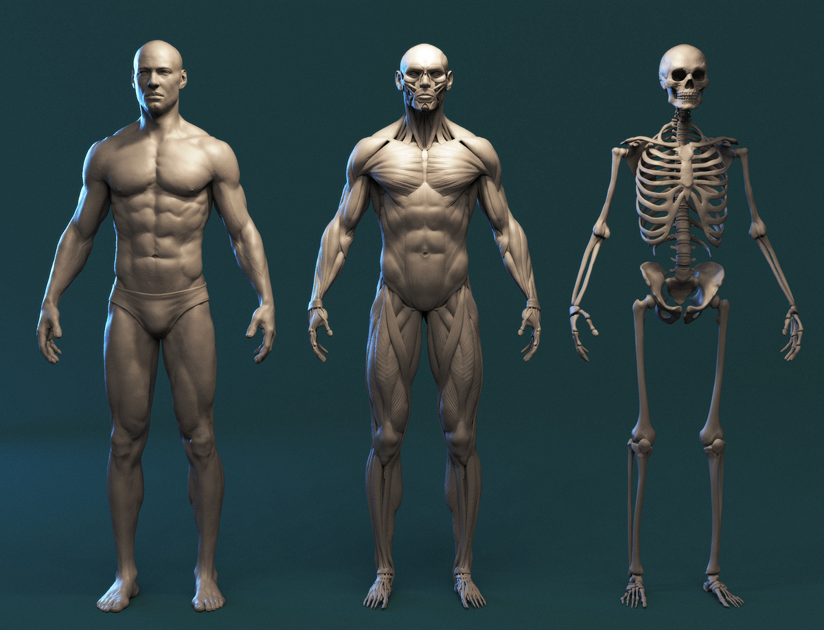 render_033