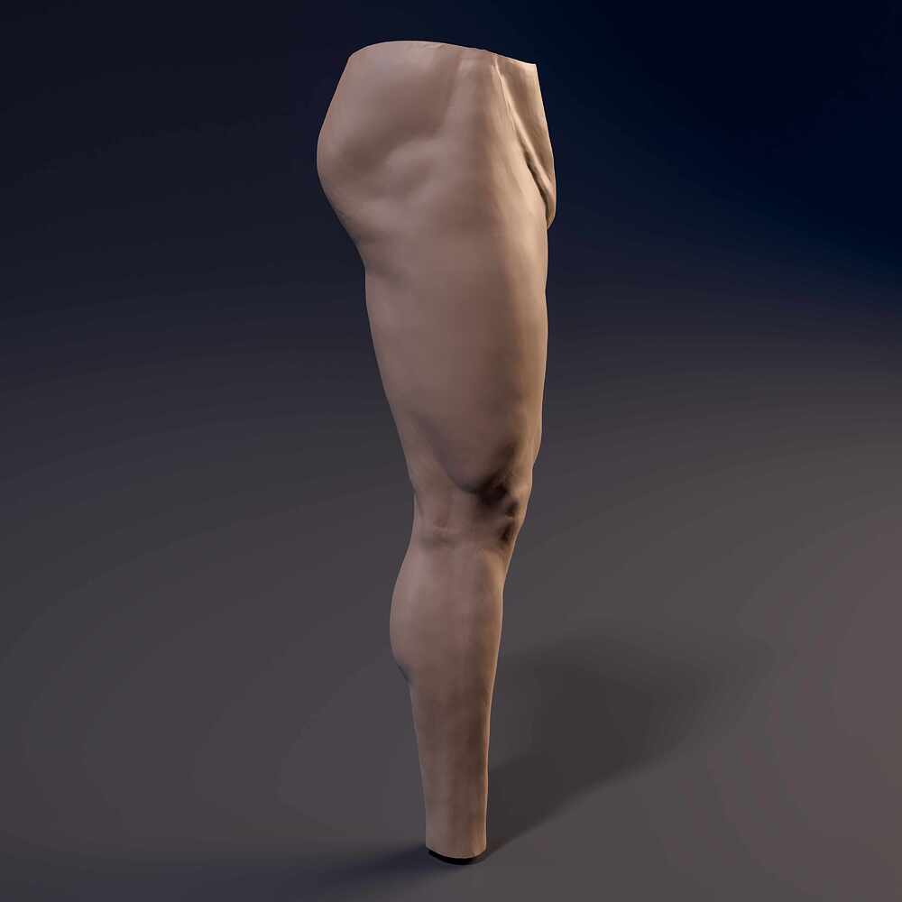 Leg_Straith_Cam_03
