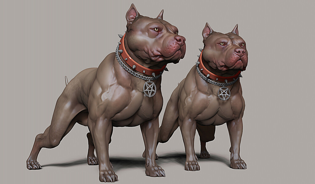 Pitbull dog speed sculpt - ZBrushCentral