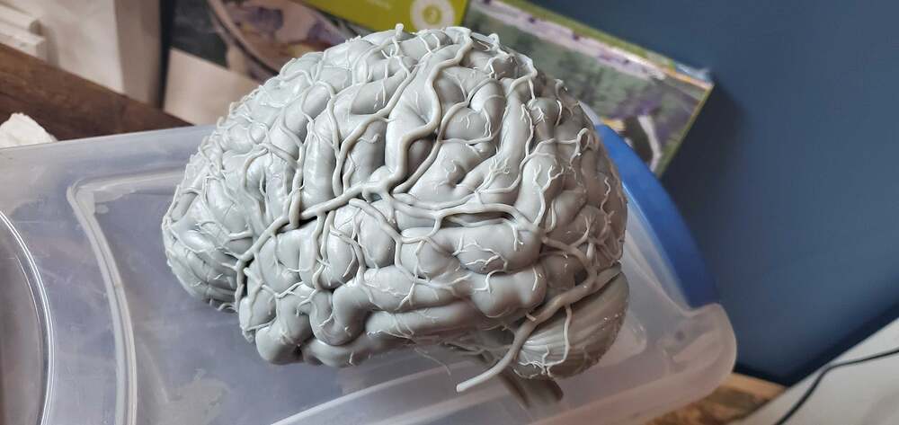 Intervoke_brain 3d print