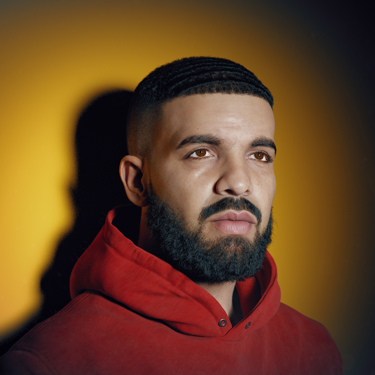 Drake-2