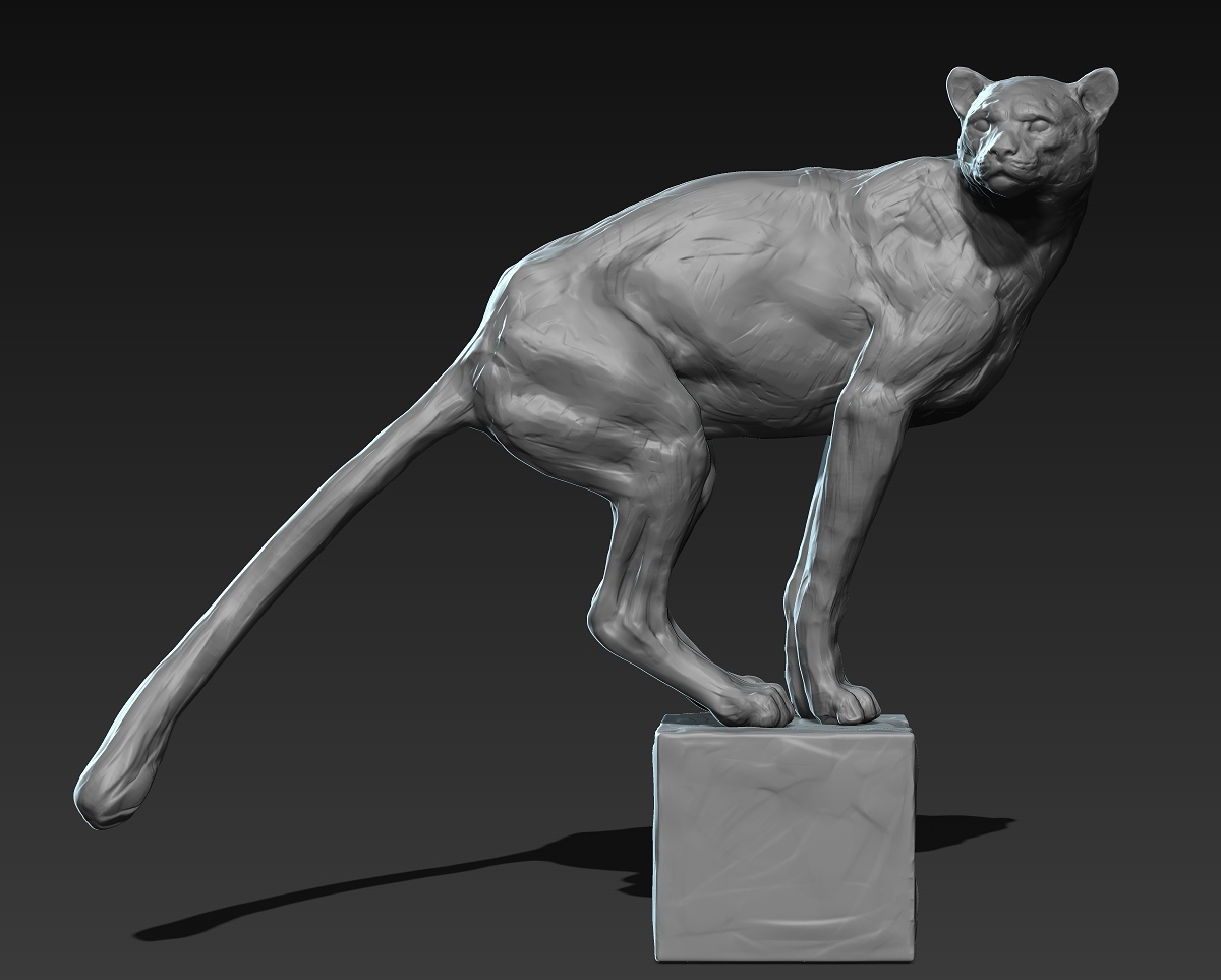 CHEETAH_01.jpg