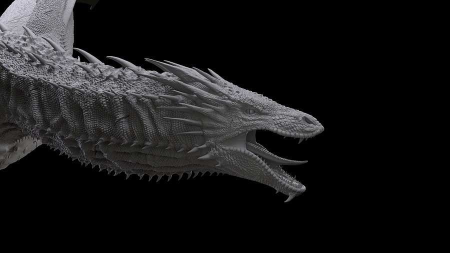 Head_close_up_grey_render