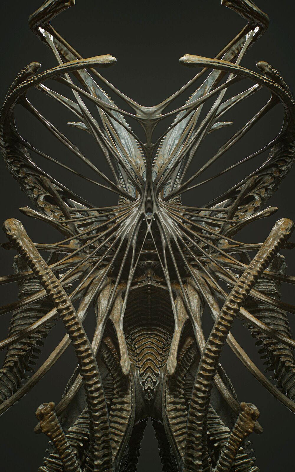Partially2_Cold_Symmetry_0014