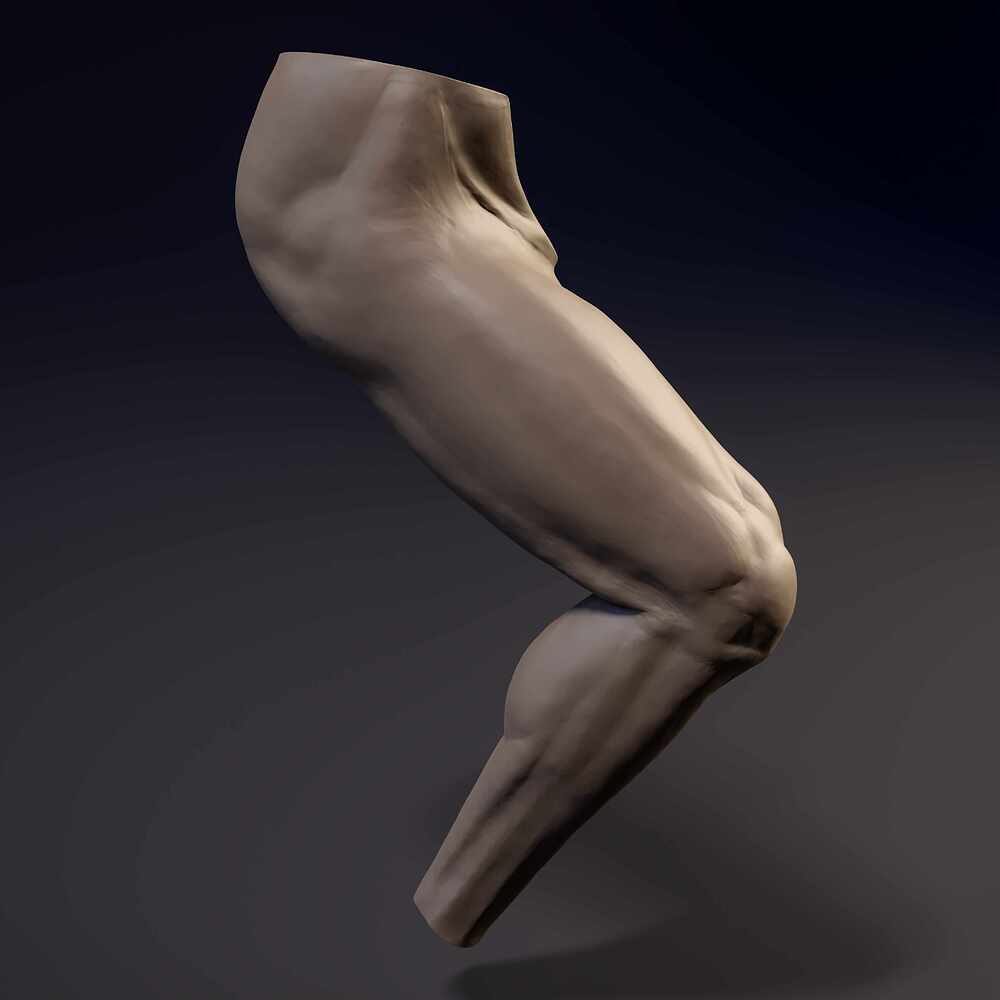 Leg_Bend_Cam_04