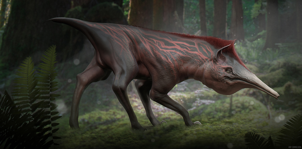 MrSnoots_Small_AmyCornelson